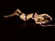Sylvie van der Vaart präsentiert sich in Dessous