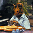 ALF kommt in die Kinos