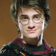 Als Harry Potter wurde er bekannt