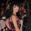 Fleißig, fleißig, die Katy