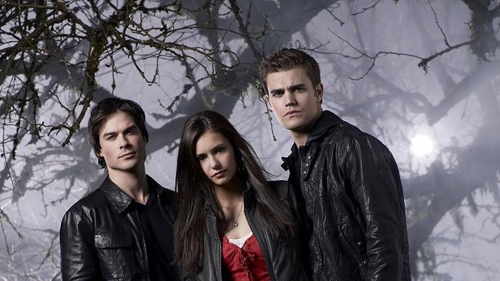 Gibt es Vampire Diaries bald auch als Musical? Promiflash.de