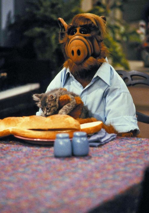 ALF kommt in die Kinos ALF kommt in die Kinos