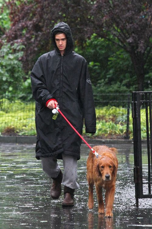 Andrew Garfield ging mit seinem Hund Gassi