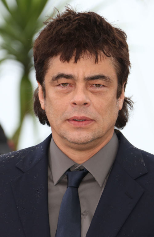 Benicio del Toro erschien mit Vokuhila in Cannes