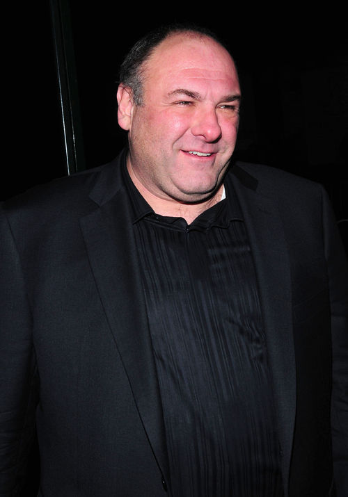 James Gandolfini starb an einem Herzinfarkt