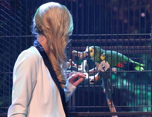 Janina Skurt und Papagei Jacko sind gestern ins Finale vom Supertalent gewählt worden Janina Skurt und Papagei Jacko sind gestern ins Finale vom Supertalent gewählt worden
