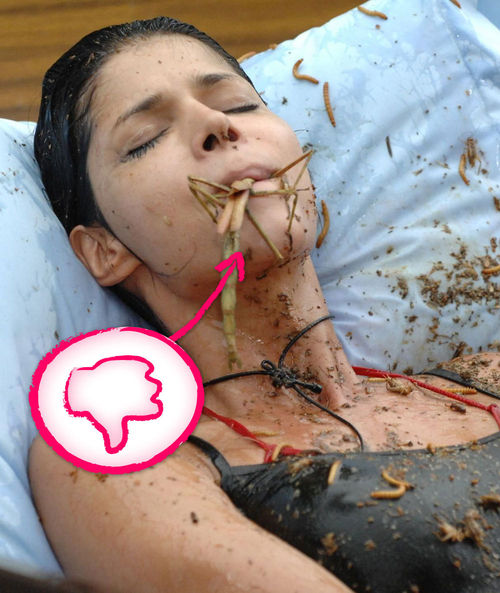 Dschungelcamp - Micaela behielt eine Stabheuschrecke 30 Sekunden im Mund Dschungelcamp - Micaela behielt eine Stabheuschrecke 30 Sekunden im Mund