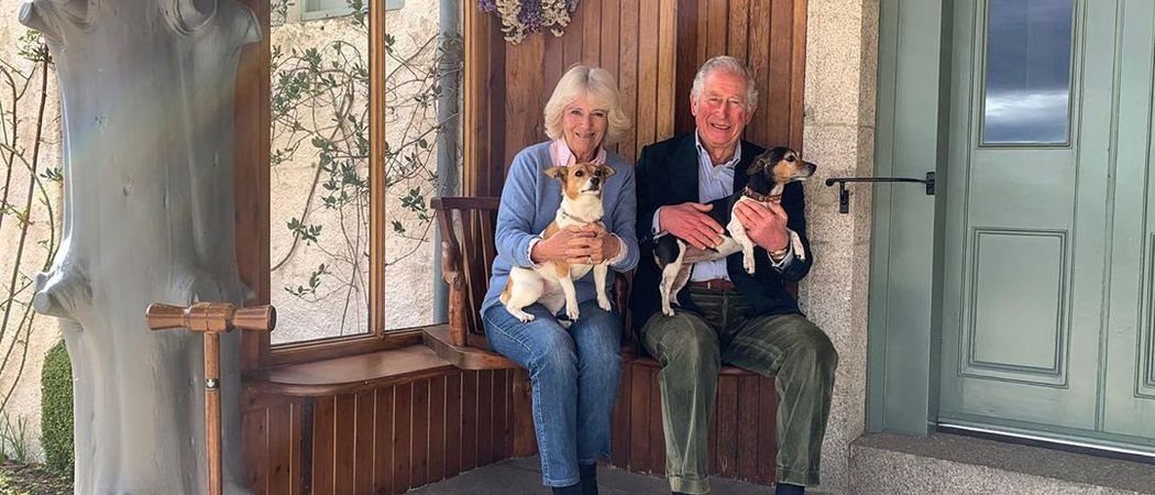15 Jahre verheiratet: So glücklich sind Charles und Camilla | Starswrld.com