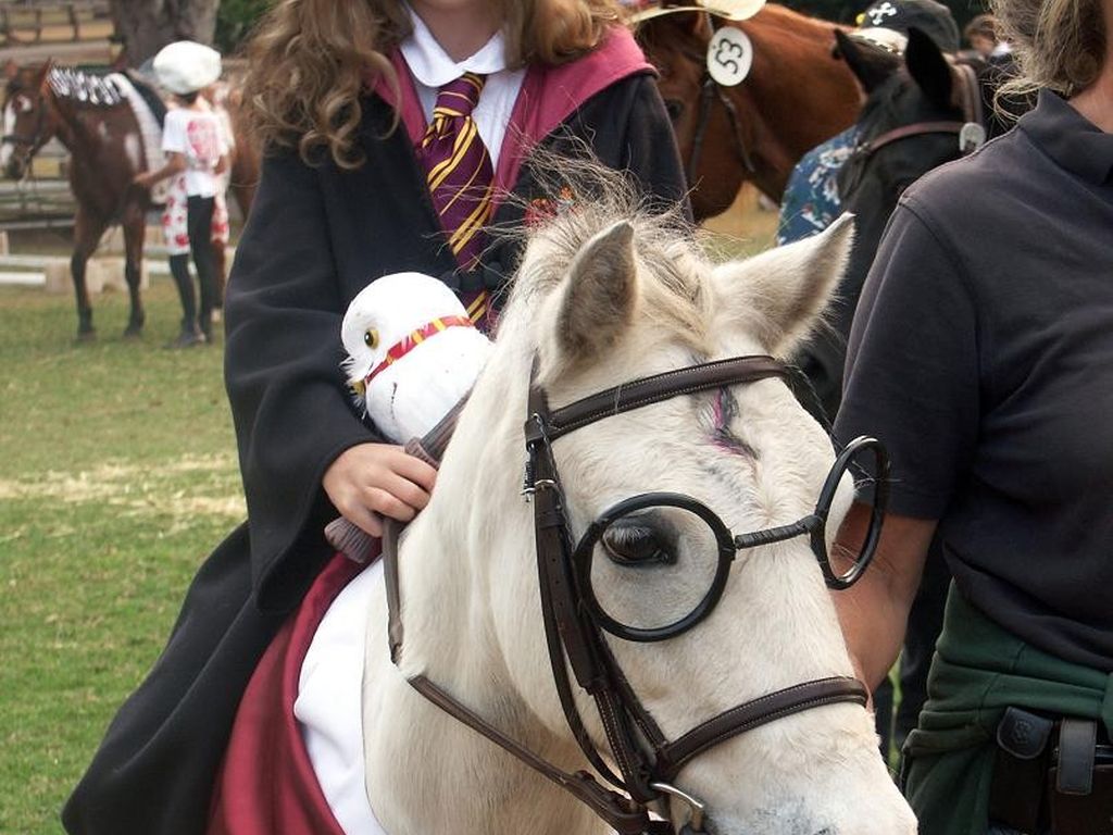 Harry Potter Pferd Mit Flügeln / Geflügeltes Pferd | Harry Potter Wiki