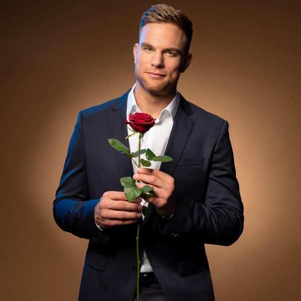Der Bachelor
