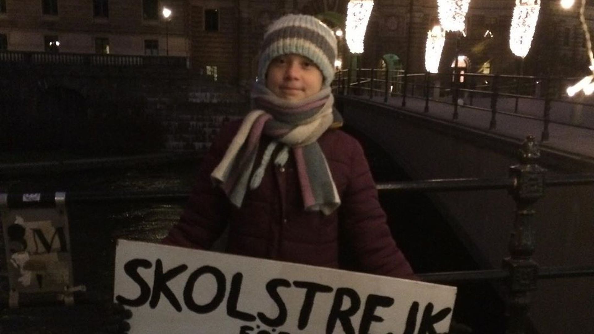 mit-streik-so-feiert-greta-thunberg-ihren-17-geburtstag