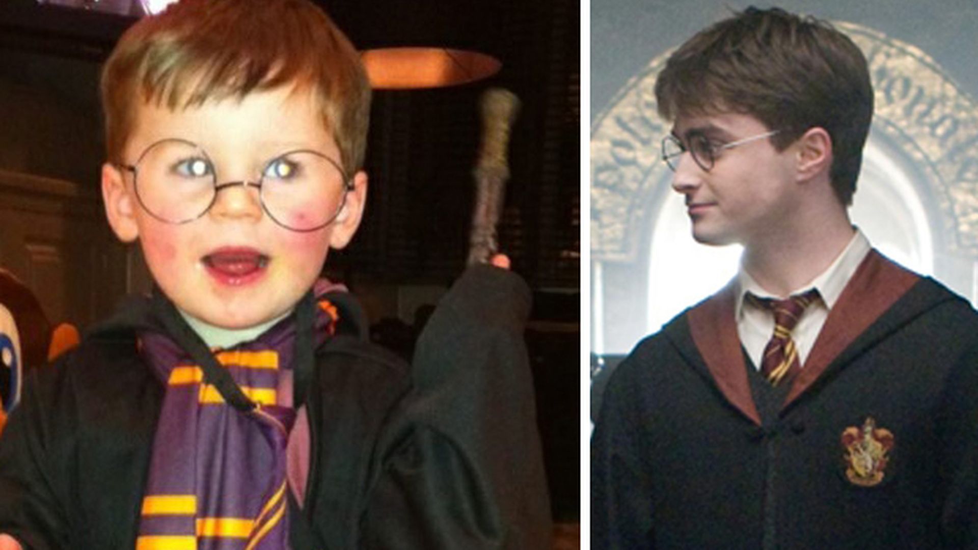 Der große Harry Potter plötzlich ganz klein... Promiflash.de