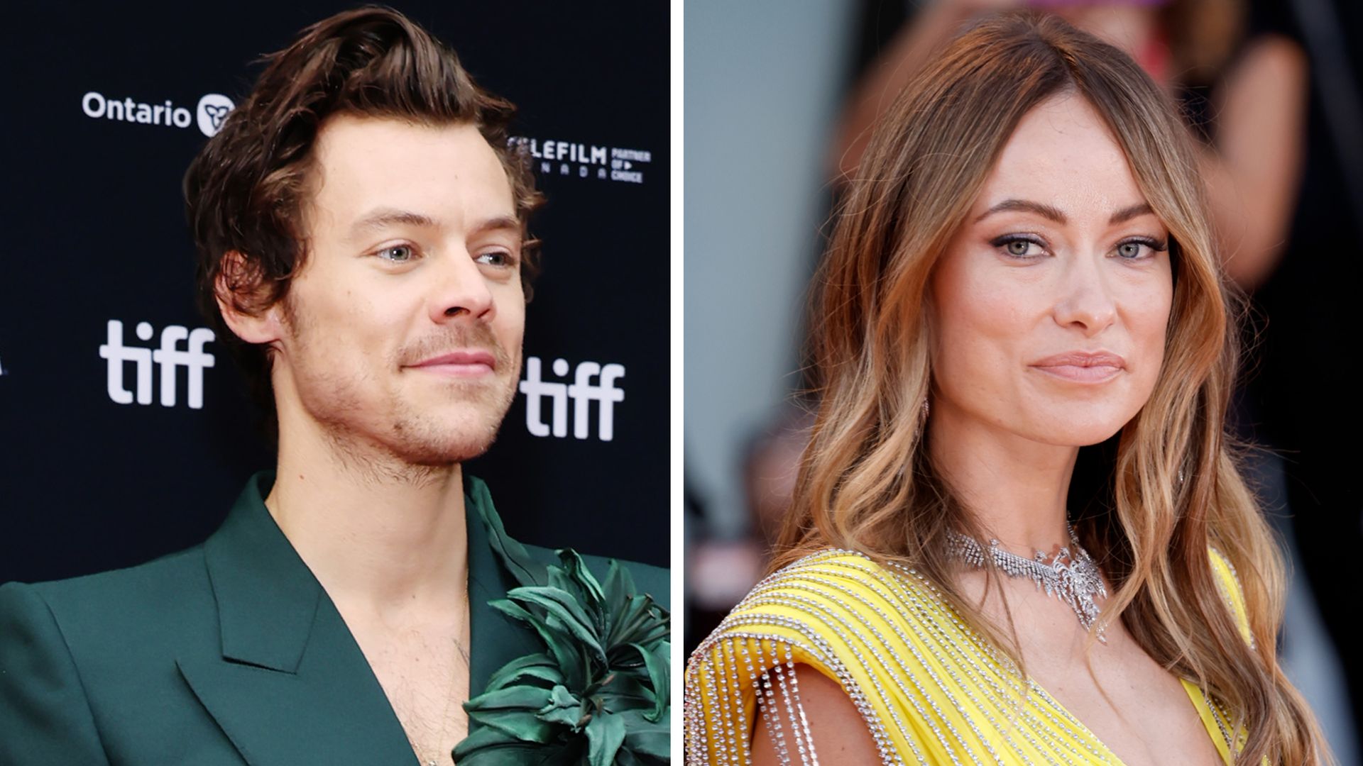 Beziehungspause von Harry Styles ist schwer für Olivia Wilde