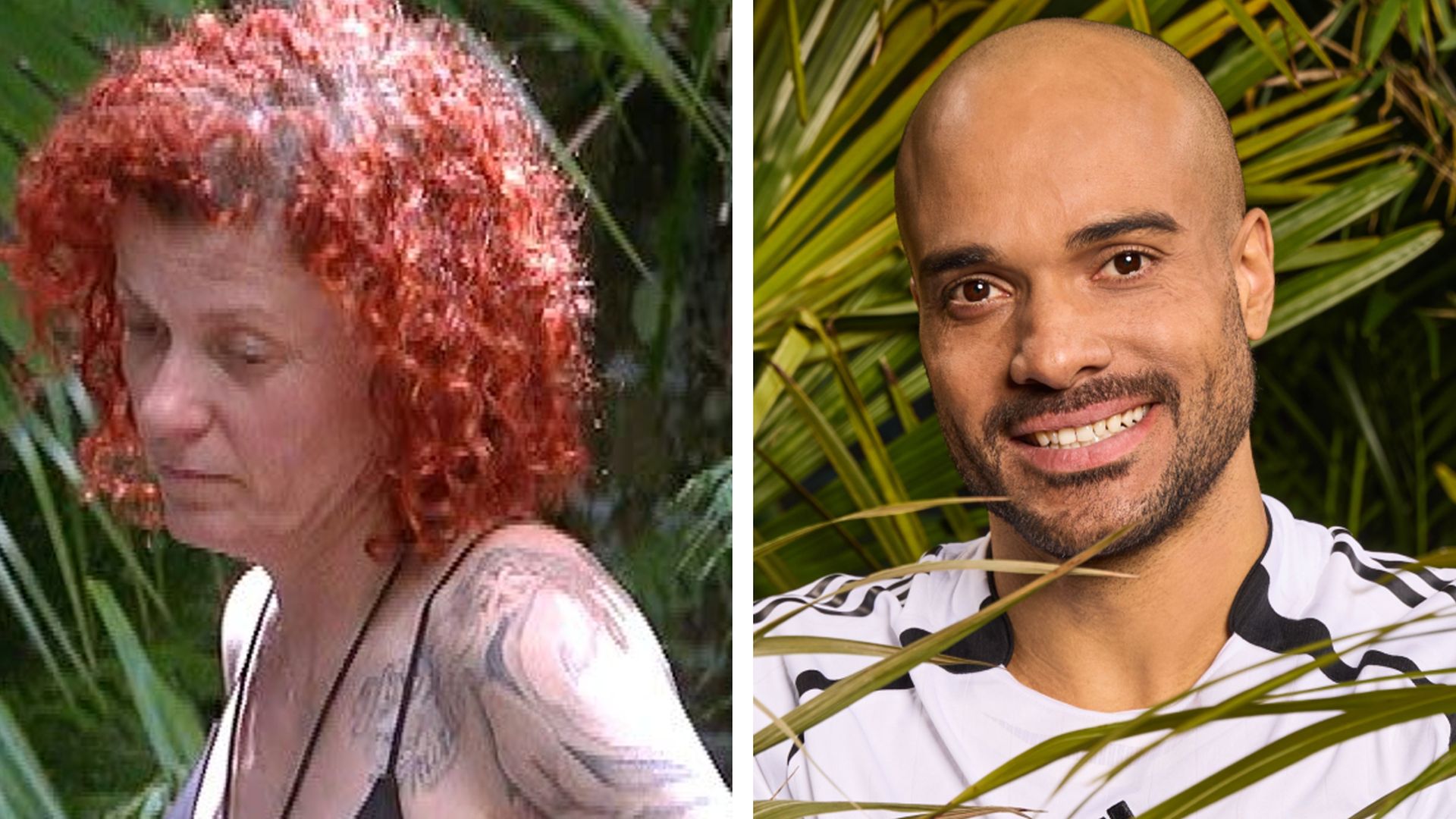 Lucy und David müssen nun Leylas Dschungelprüfung meistern!