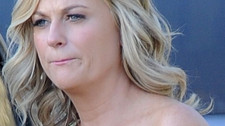 Amy Poehler