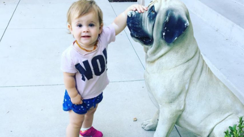Andy Rose Osbourne streichelt unechten Hund