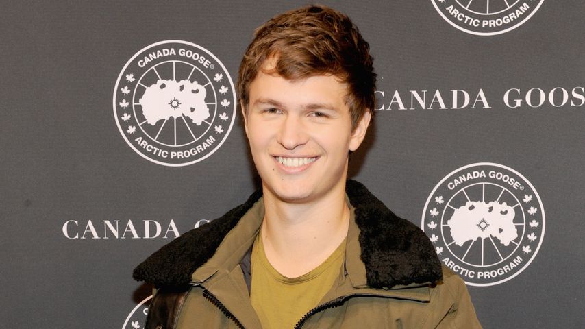 Ansel Elgort, Schauspieler