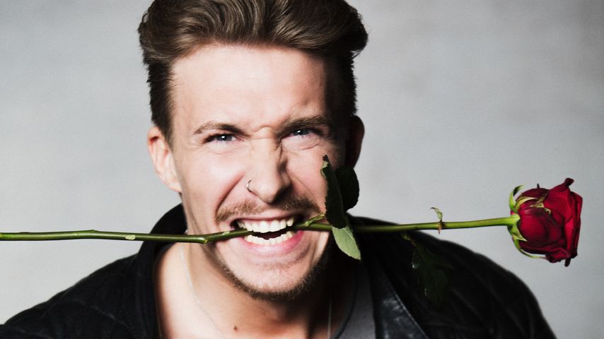 3 Gründe: Darum bekommt David die letzte Bachelorette-Rose!