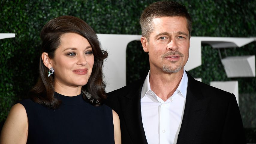 Brad Pitt und Marion Cotillard bei der "Allied"-Premiere