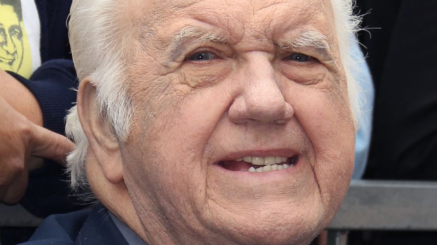 Chuck McCann, Synchronsprecher