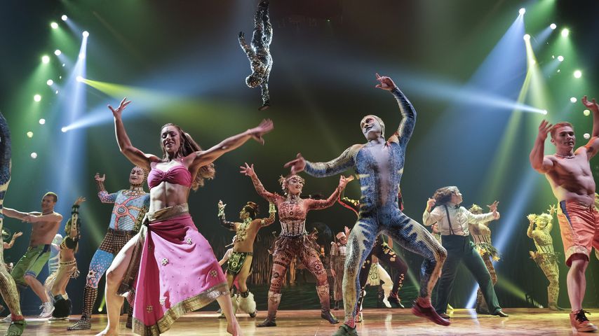 Cirque du Soleil-Artisten