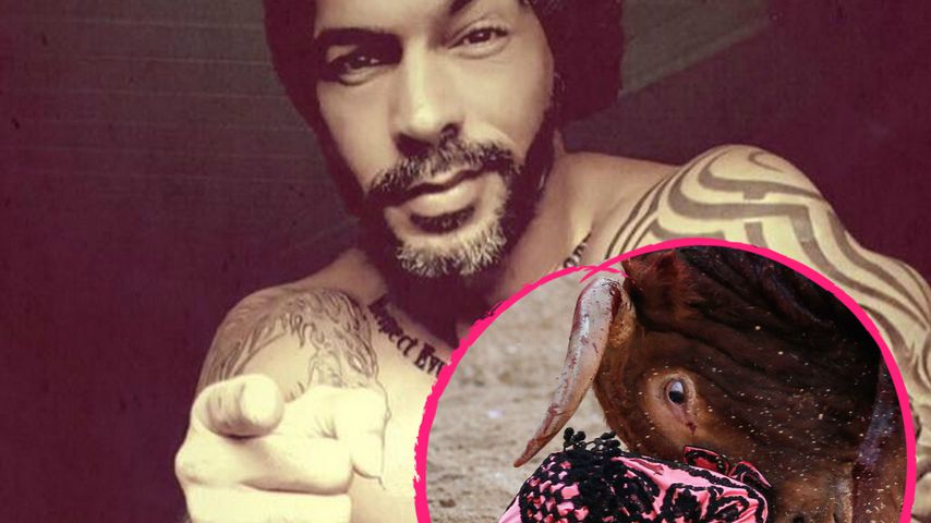 Einsatz für die Tiere: Aurelio Savina hasst Stierkämpfe!
