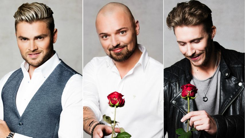 "Bachelorette"-Kandidaten Johannes, Niklas und David