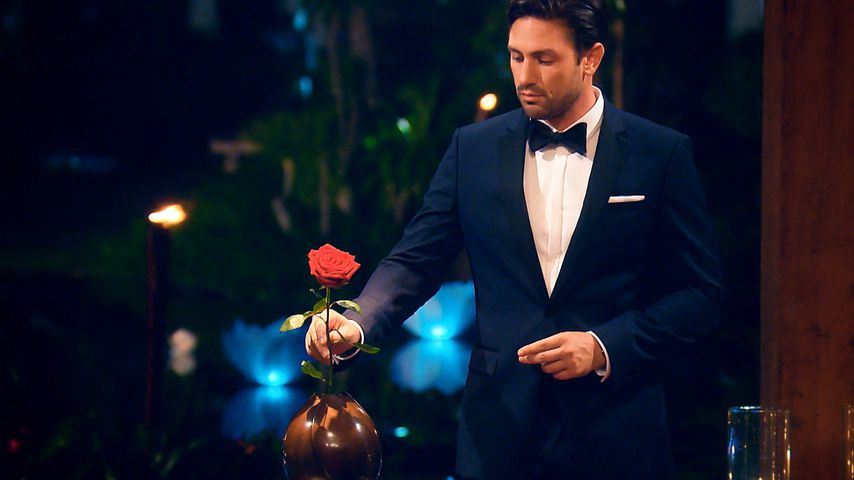 Bachelor Daniel Völz in der letzten Nacht der Rosen