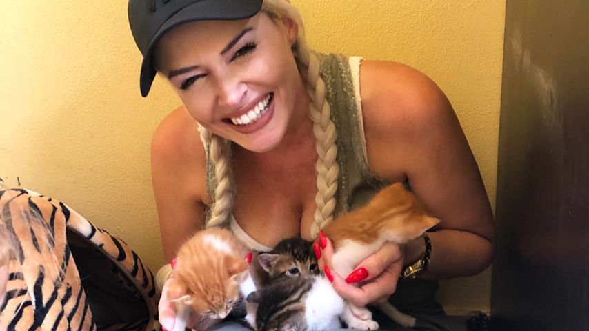 Kätzchen, Ponys, Esel: Die Katze & Familie bei Farm-Ausflug