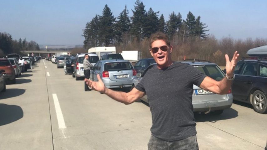 David Hasselhoff, Schauspieler