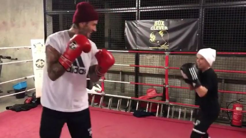 Profi im Boxring: Hier macht Cruz Beckham Papa David platt!