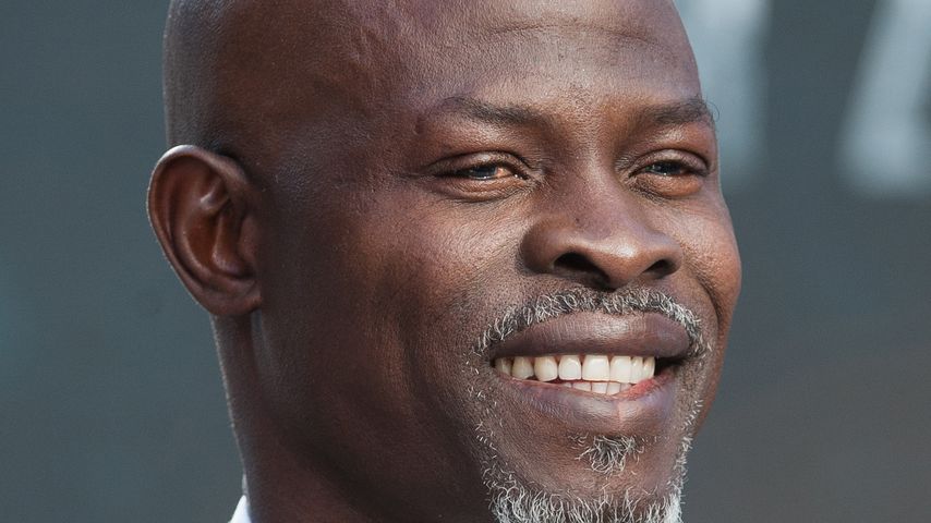 Schauspieler Djimon Hounsou