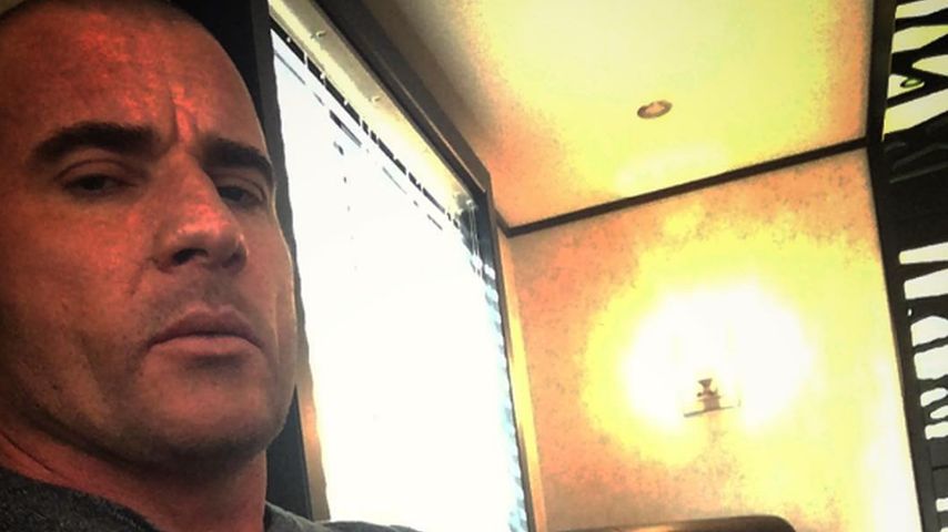 Dominic Purcell
