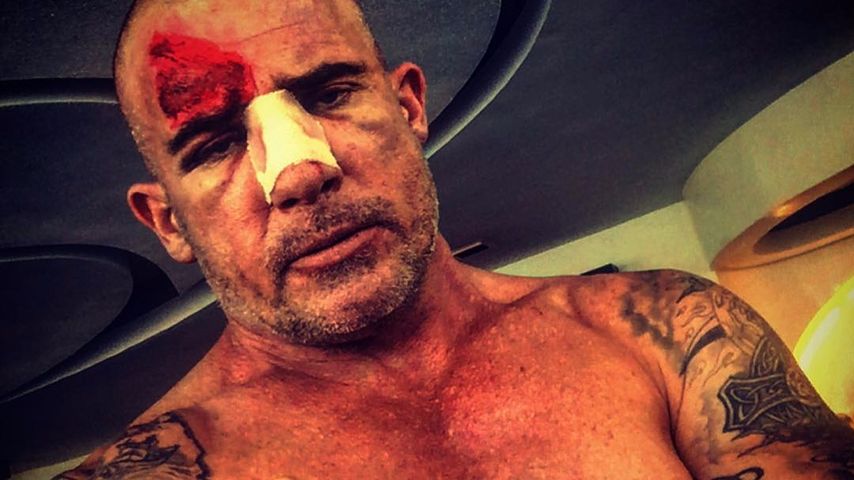 Dominic Purcell