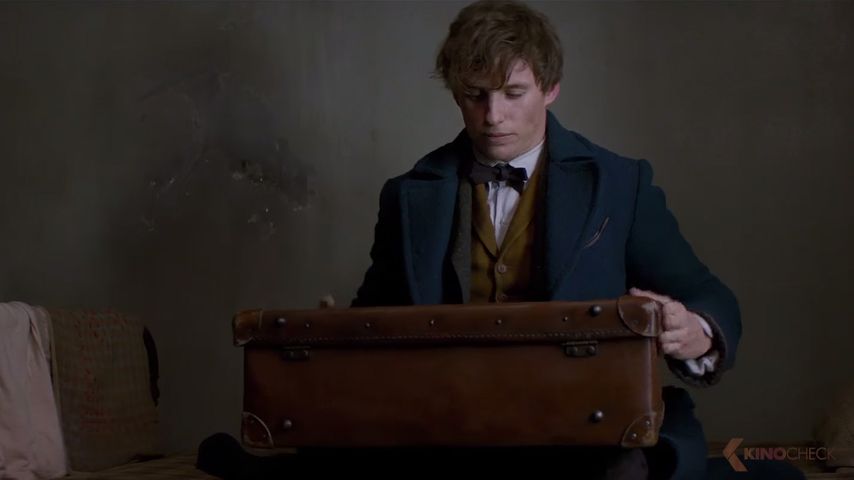 Eddie Redmayne in "Phantastische Wesen und wo sie zu finden sind"