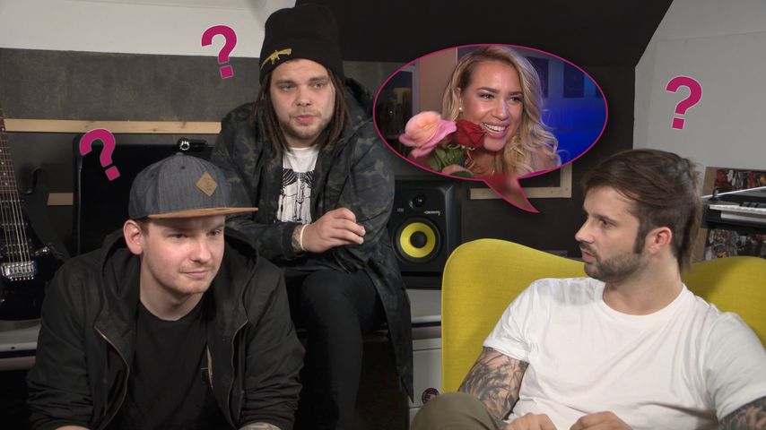 Bachelorette-Paar: Das halten Davids Band-Kollegen von Jessi