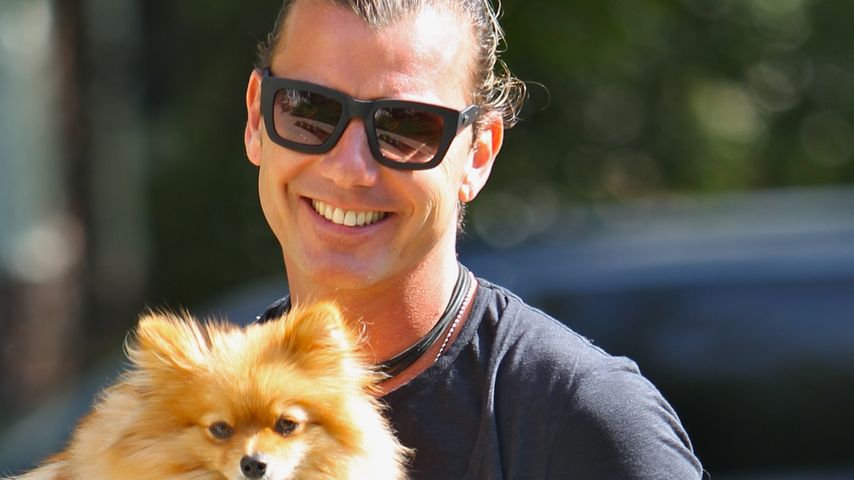 Gavin Rossdale