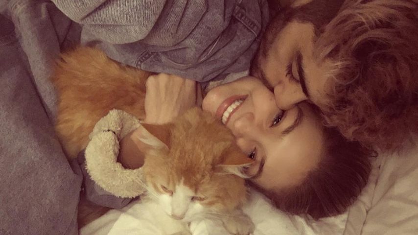 Gigi Hadid und Zayn Malik