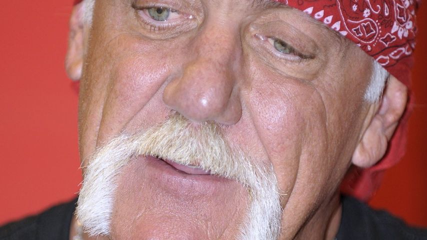 Hulk Hogan