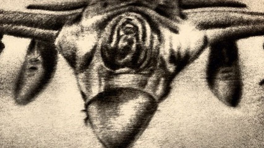 Das ist Chris Browns neues FliegerTattoo Promiflash.de