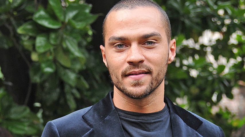 Jesse Williams, Schauspieler