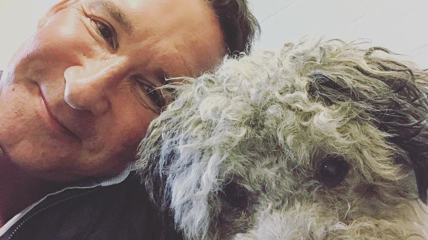 Jochen Bendel, "Haustier sucht Herz"-Moderator