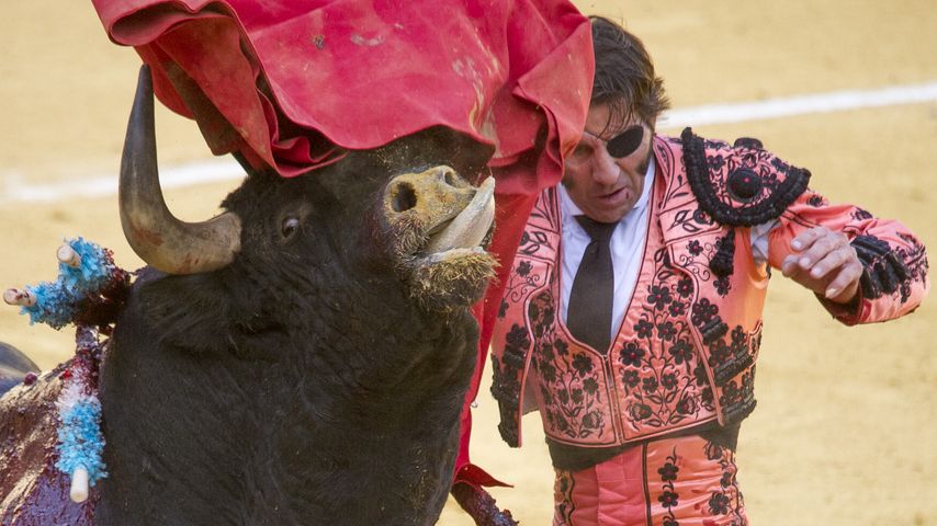 Juan Jose Padilla beim Stierkampf während des San Barlolome Festes in Alcala de Henares