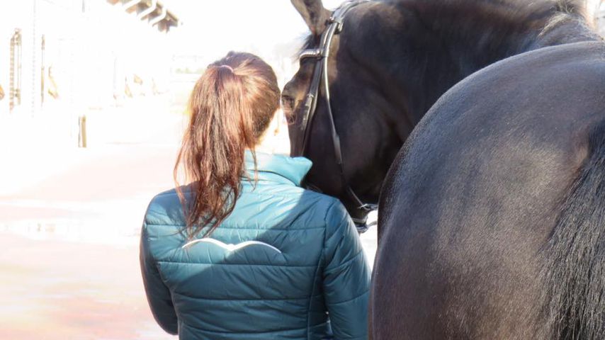DressurreitStar Kristina BröringSprehe erwartet ein Kind! Promiflash.de