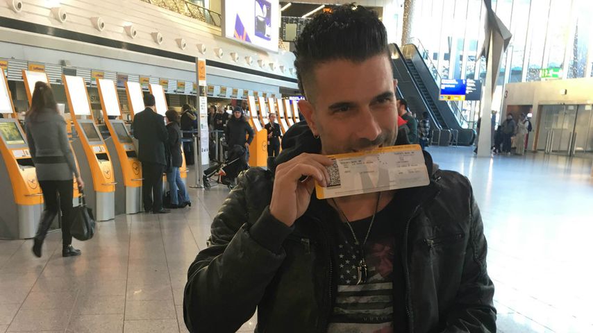 Marc Terenzi am Frankfurter Flughafen