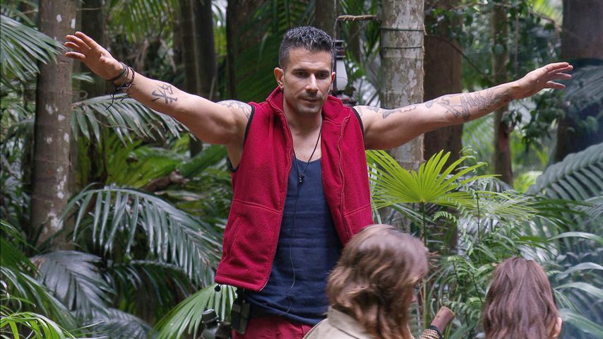 Marc Terenzi im Dschungelcamp 2017