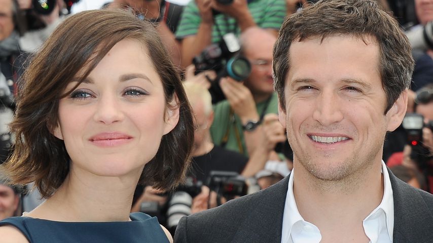 Marion Cotillard und Guillaume Canet bei der Premiere von "Blood Ties" im Jahr 2013