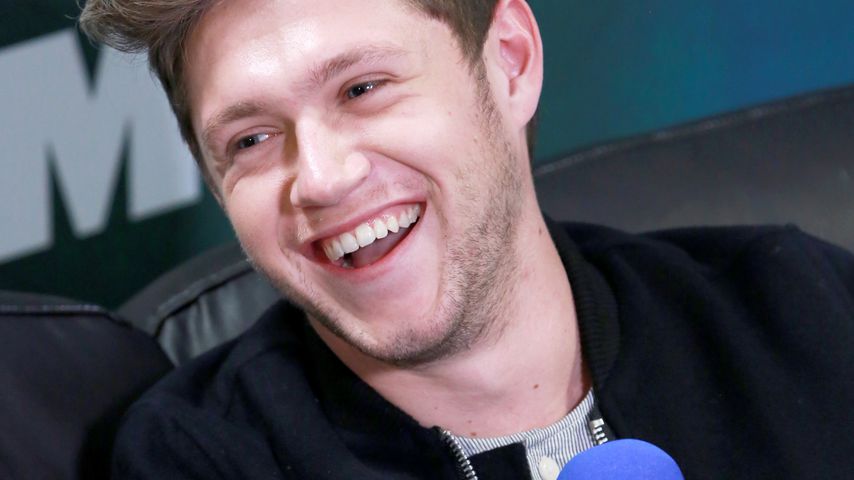 Niall Horan, Ex-One-Direction-Mitglied