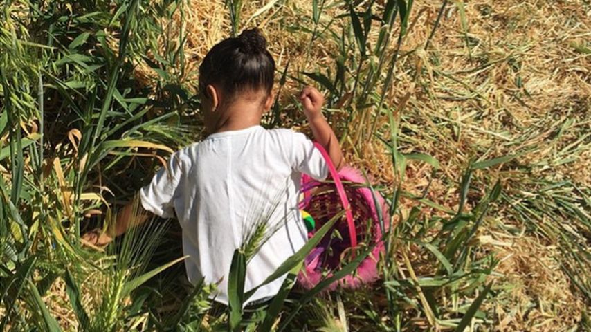North West