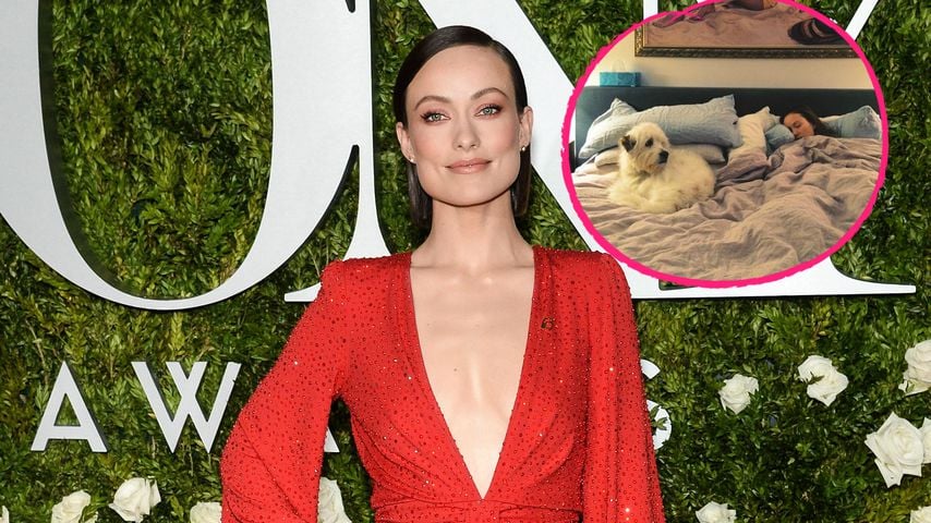 So privat: Olivia Wilde teilte Pic aus ihrem Schlafzimmer! | Promiflash.de